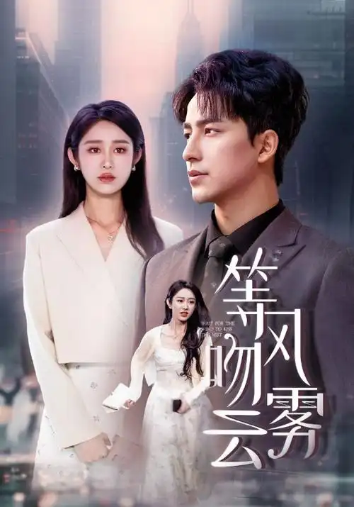 雾港谜踪 热播电视剧全集手机免费在线观看